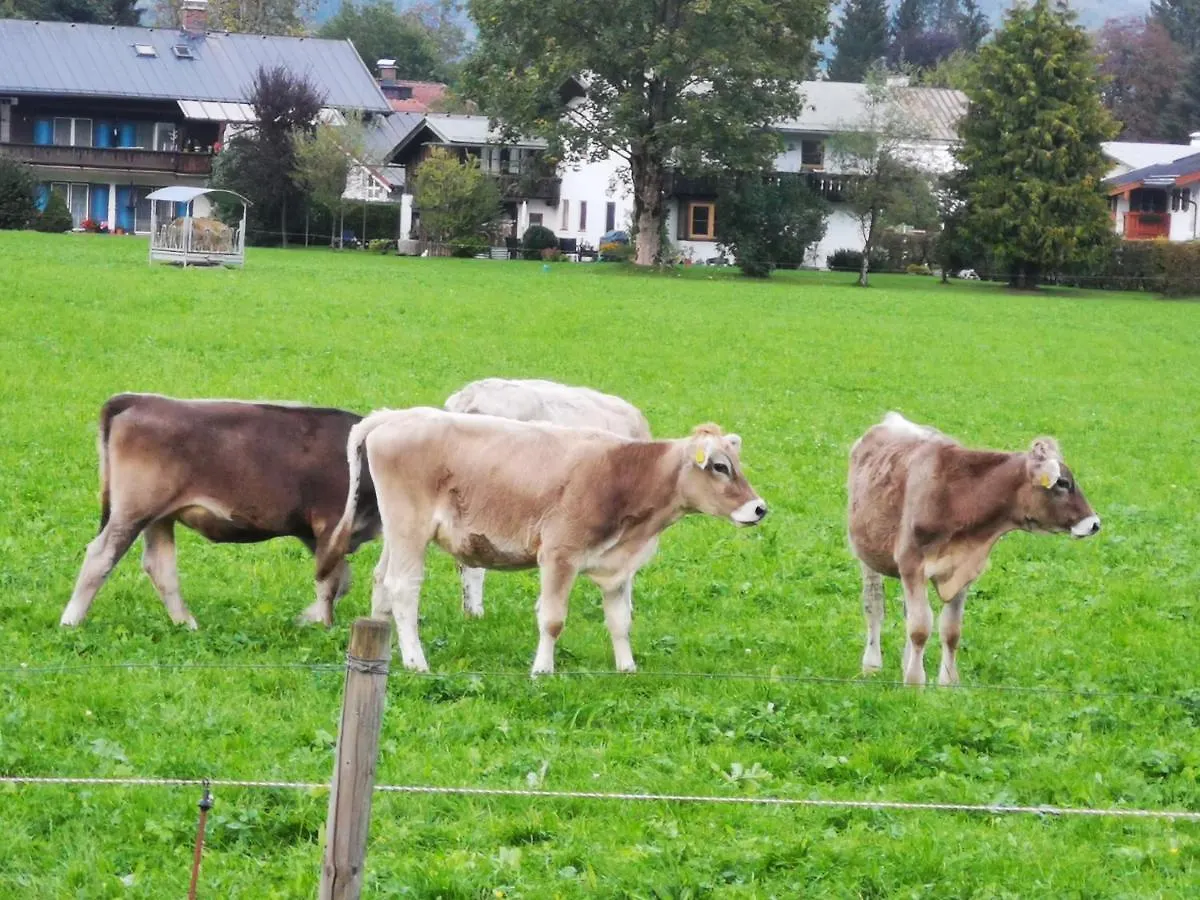 Gastehaus Schonfeld Bed & Breakfast Schoenau am Koenigsee 0*,  Germany